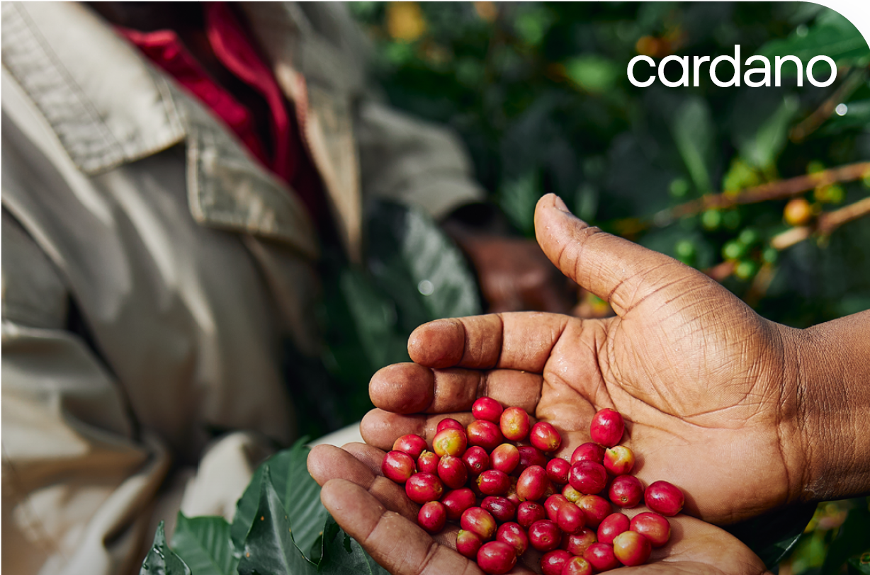 Is klimaatverandering een verborgen aanjager van toekomstige inflatie? -  Pensioen Pro - Kennisbank